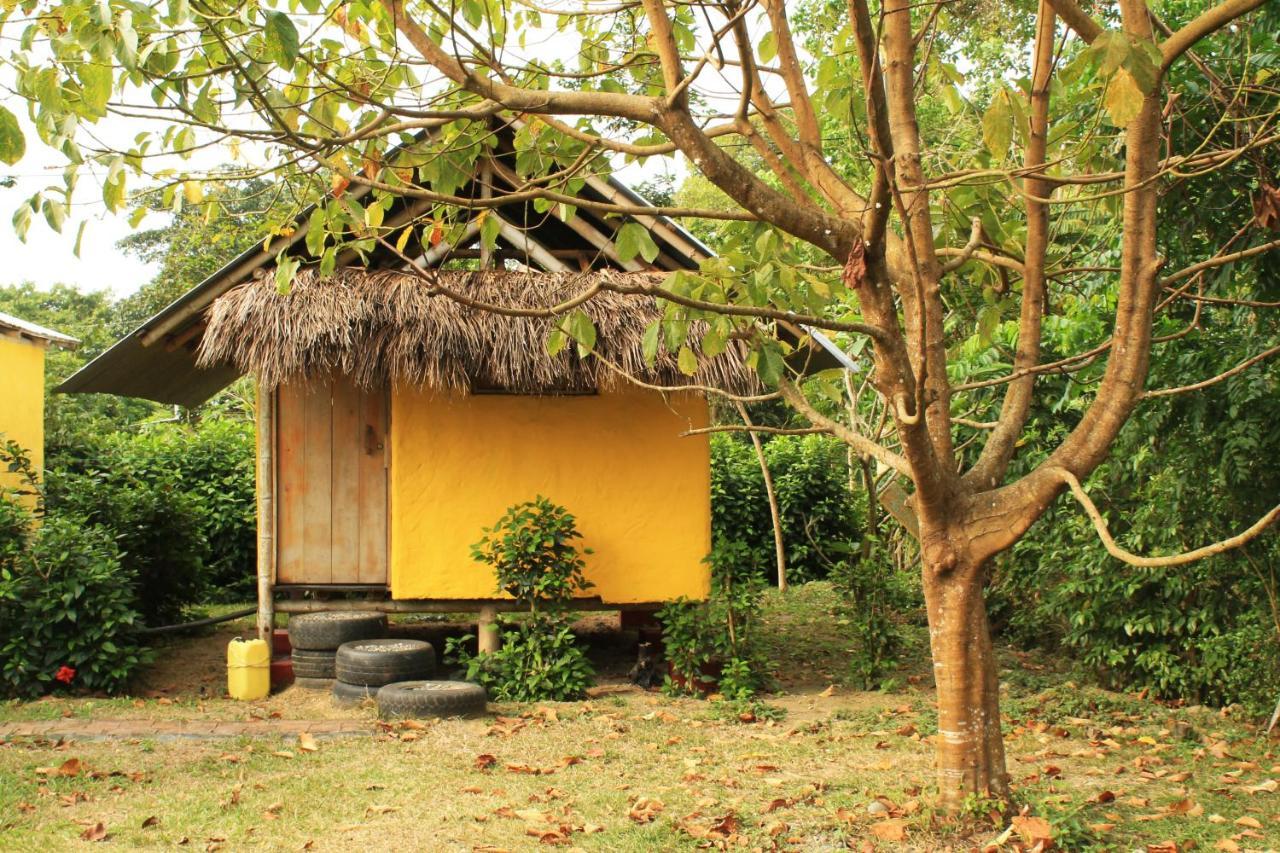 Maracumbo Lodge Mompiche Exterior photo